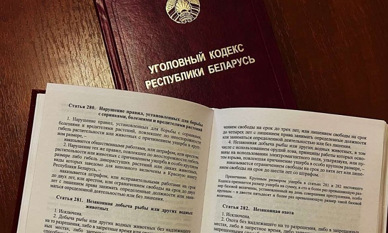 Рыбака-браконьера наказали в Лунинецком районе. Какой приговор вынес суд?