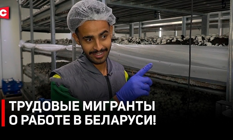 Приехали в Беларусь ЗАРАБОТАТЬ! Трудовые мигранты о жилье, работе и зарплатах