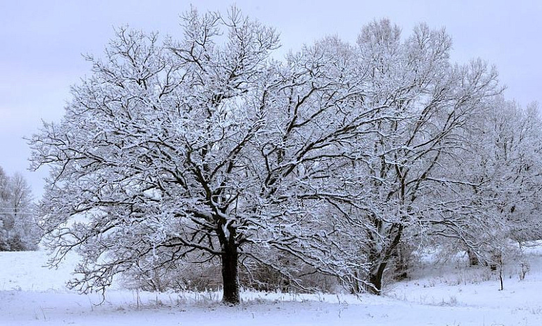 Снегопад прогнозируют в Беларуси 3 января, а в Лунинецком районе еще и гололёд...