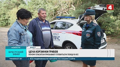 Потеряшки в лесу: почему пожилые люди — главная группа риска и как их уберечь?