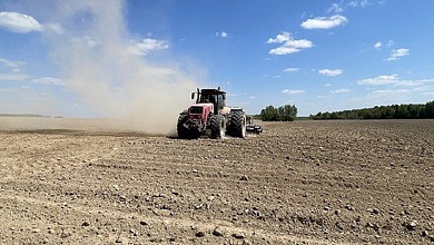 Госконтроль выявил нарушения при проведении посевной кампании в Брестской области
