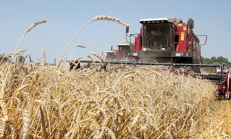 Уборка зерновых на Лунинетчине набирает обороты