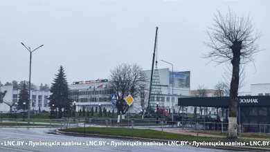 В Микашевичах устанавливают новогоднюю елку