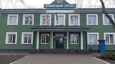 Целевые направления на обучение предоставляет Лунинецкий лесхоз