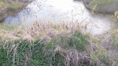 Мужчина утонул в мелиоративном канале в Ляховичском районе