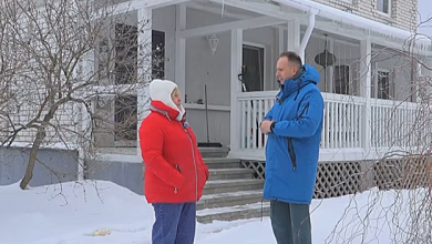 Потеря отца, 60 сортов томатов и кинотеатр под открытым небом: история переезда в деревню