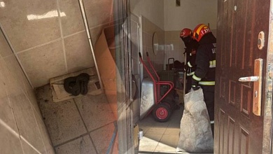 Гадюку выловили спасатели в центре Столина