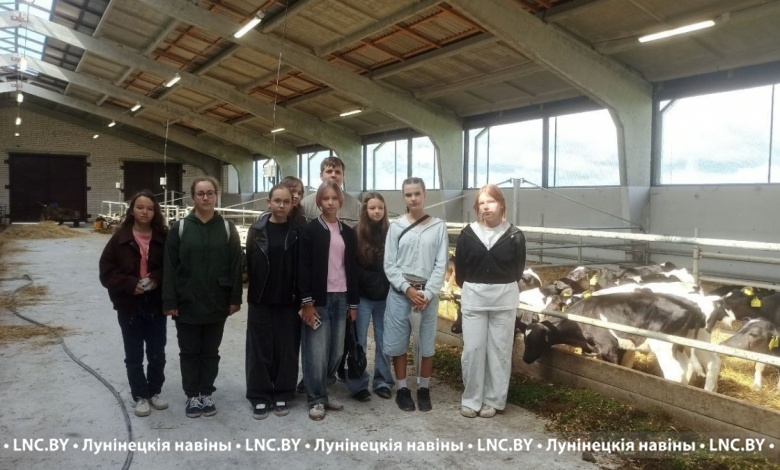 Не просто ферма: школьники открыли для себя мир сельского хозяйства