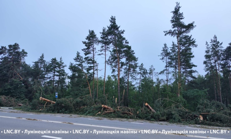 В Микашевичах продолжают ликвидировать последствия субботней непогоды