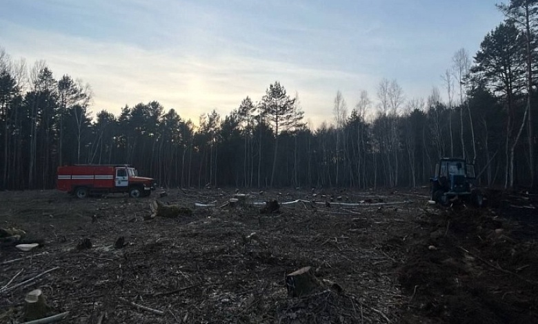 Очередной лесной пожар в Брестской области