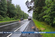 Мужчина погиб под колёсами грузовика на автодороге Минск - Микашевичи