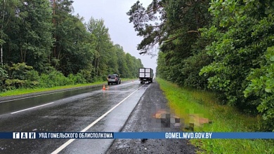 Мужчина погиб под колёсами грузовика на автодороге Минск - Микашевичи