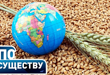 Что будет с ценами на продукты? | Иран и США. Последствия | Планы Беларуси на урожай