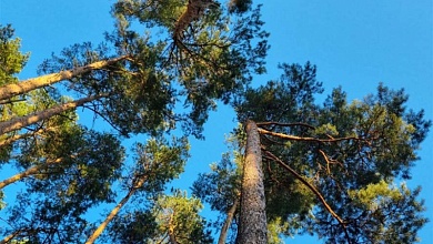 Исполнение природоохранного и земельного законодательства - на контроле прокуроров Брестчины