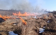 Снизить риск лесных пожаров! Контролируемые палы проводят в Лунинецком районе