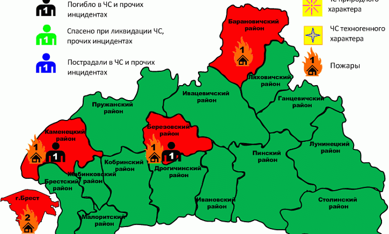 На пожарах за сутки погибло два человека в Брестской области 