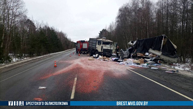 Смертельная авария на автодороге М10 в Брестской области