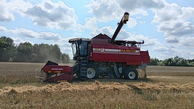 Первыми к уборке ярового ячменя на Лунинетчине приступили в ОАО "Дворецкий"