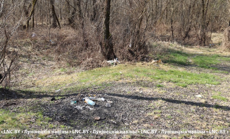 Об ответственности за загрязнение леса, а также поверхностных и подземных вод, рассказали специалисты