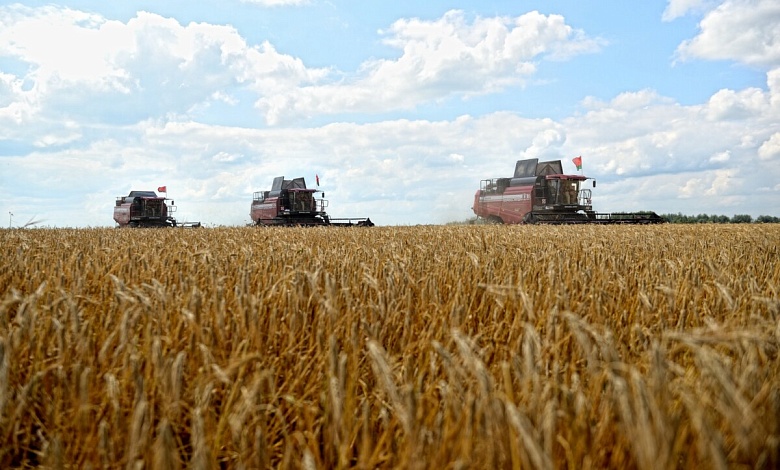 Жатва-2025 в Лунинецком районе: убрана треть всех площадей