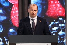 Ягоды, фермерское движение и ЛПХ. Александр Савина принимает участие в Международном ягодном форуме