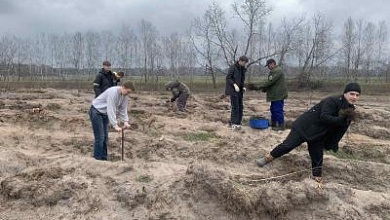 "Дай лесу новае жыццё": В Лунинецком районе продолжается республиканская акция 