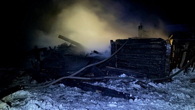 Хозпостройка сгорела в деревне Черебасово Лунинецкого района