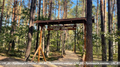 Уникальная экологическая тропа «Белое озеро» создается в Лунинецком районе