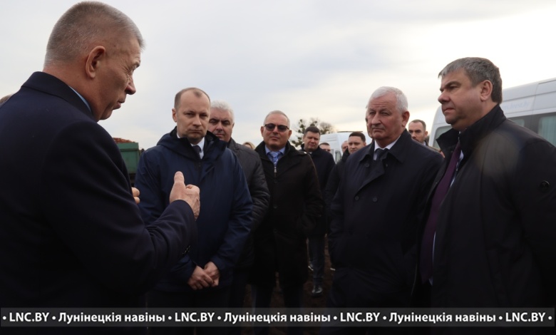 Беларусь выращивает картофель в достаточных объемах, вопрос в другом...