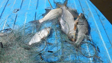 Мужчина украл рыбу в Березовском районе. Ущерб составил почти 6 тысяч рублей