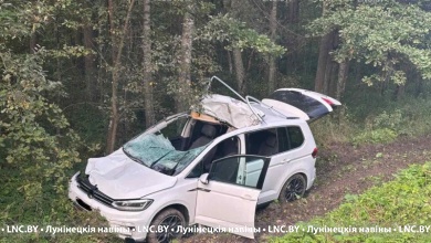 Очередное жесткое ДТП с лосем в Лунинецком районе