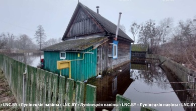 В Лунинецком районе от паводка пострадали сразу несколько населённых пунктов ﻿