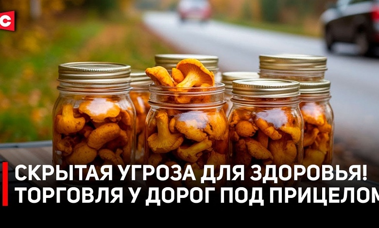 Торговля у обочин! Какие проблемы выявлены и кто в них виноват?