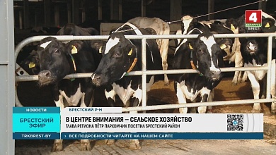 Какие задачи в сельском хозяйстве ставит руководитель Брестской области