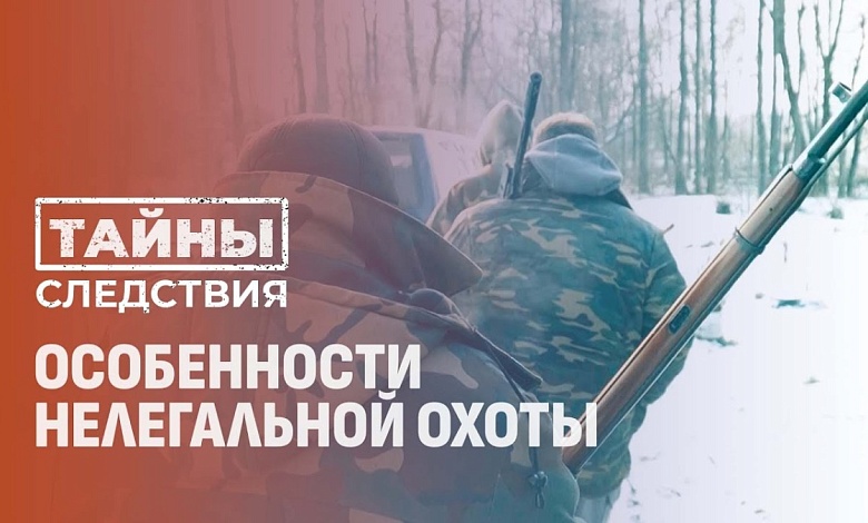 Браконьерство под видом хобби: история нелегальной охоты