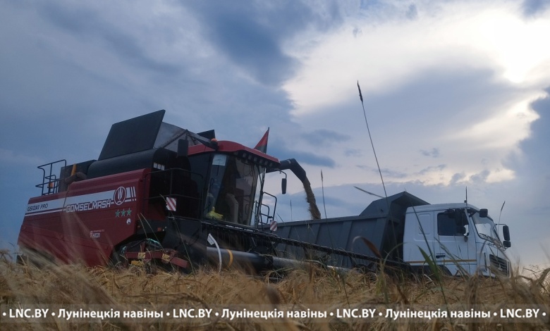 К уборочной кампании подключаются сельхозпредприятия Лунинецкого района