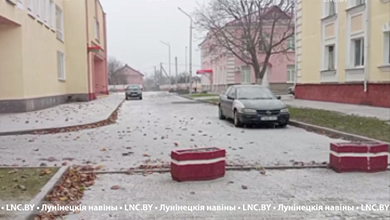 Оранжевый уровень опасности из-за сильного ветра объявлен в Беларуси на 24 ноября