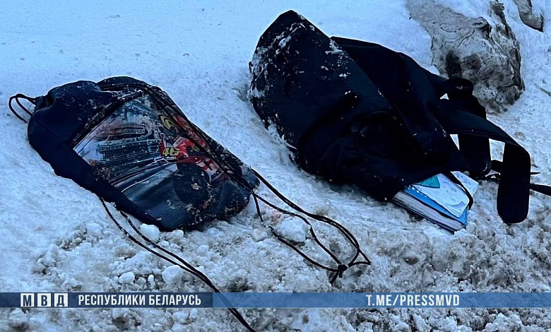 Трагедия в Гомельской области: 14-летнего паренька насмерть сбила машина 