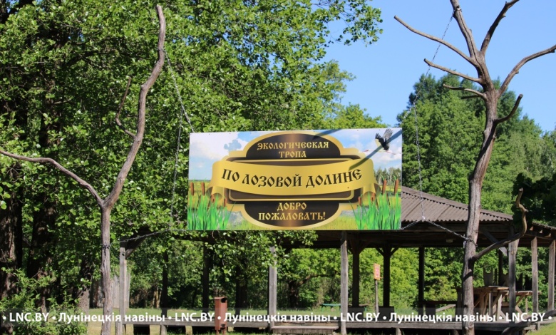 Почувствуйте дыхание природы: по лозовой долине в самое сердце Полесья