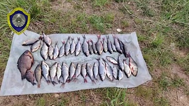 Браконьеру за 40 рыб насчитали более 8 тыс. рублей ущерба и штрафа 