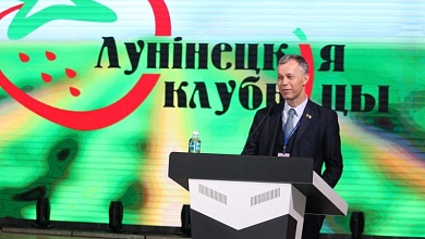 Наука и практика: диалоговая площадка ягодного форума в Микашевичах