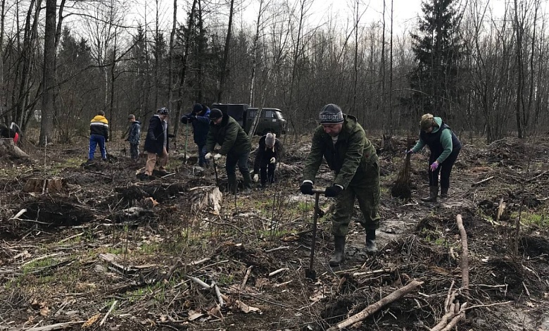 Молодежь дает жизнь новому лесу в Лунинецком районе