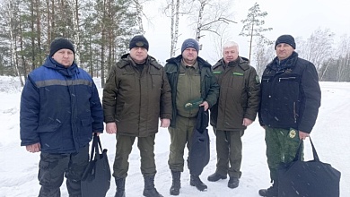 Поздравили на рабочем месте. Работники лесхоза трудятся на разработке буреломных участков