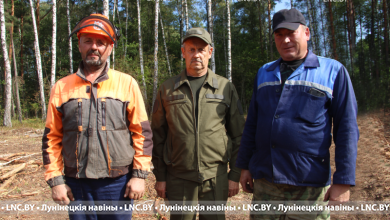 Уже 40 лет в лесном хозяйстве лесничий из Лунинецкого района  