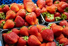 Клубника по 9.90! Цены на Комаровке