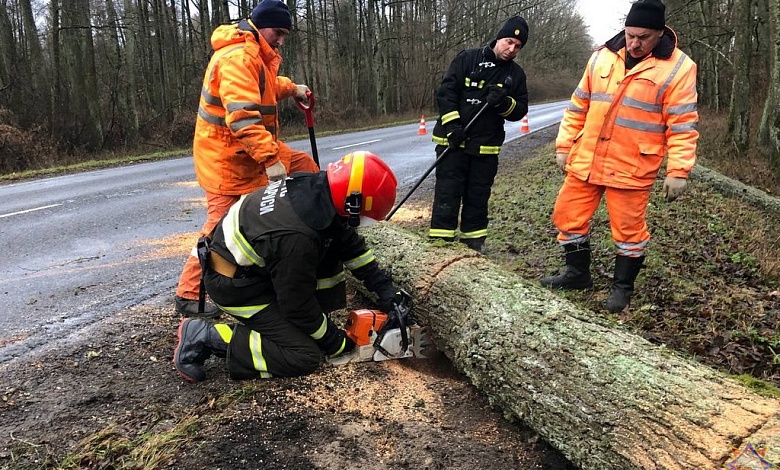 Последствия непогоды в Брестской области 16 декабря