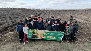 Более 4 тысяч саженцев высадили железнодорожники Лунинца