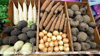 Торговлю и поставщиков будут штрафовать за отсутствие в продаже овощей. Лукашенко подписал новый закон 