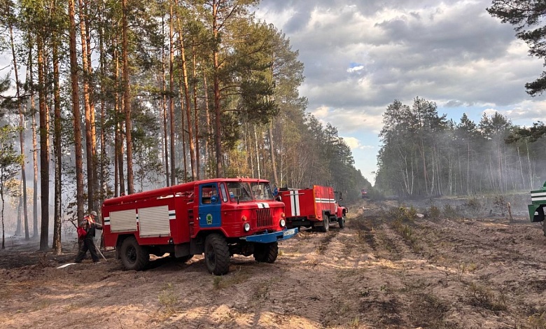 Лесной пожар на более 11 гектарах бушевал в Брестской области 