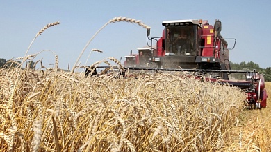 Уборка зерновых на Лунинетчине набирает обороты